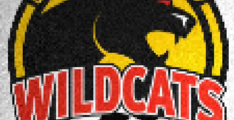 Image showing the Wildcats logotype